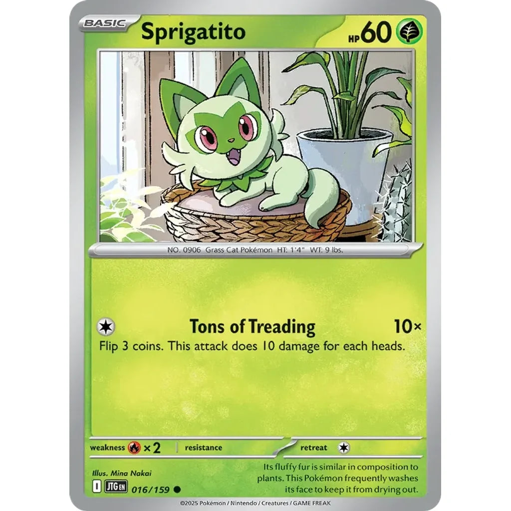 Sprigatito 016/159 Common Journey Together Pokemon Near Mint (NM) przód