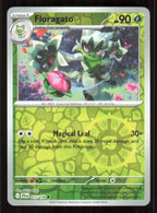 Floragato 017/159 Common Journey Together Pokemon Reverse Holo Near Mint (NM) przód