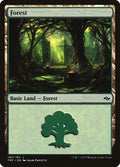 Forest (185) 185 Land Fate Reforged Magic: The Gathering Heavily Played (HP) przód