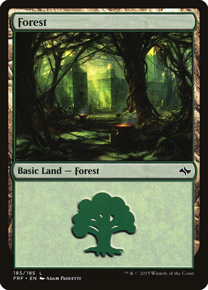 Forest (185) 185 Land Fate Reforged Magic: The Gathering Heavily Played (HP) przód