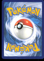 Dubwool 125/142 Uncommon Stellar Crown Pokemon Lightly Played (LP) tył