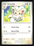 Cinccino Uncommon SV05: Temporal Forces 137/162 Near Mint (NM) przód