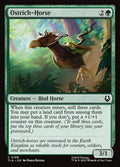 Ostrich-Horse 188 Common Avatar: The Last Airbender Magic: The Gathering Near Mint (NM) przód