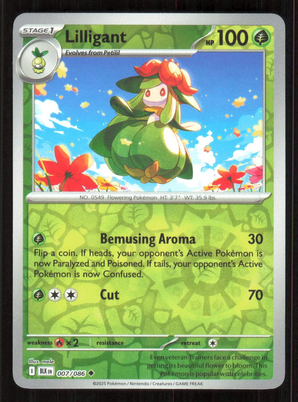 Lilligant Uncommon SV: Black Bolt 007/086 Near Mint (NM) przód