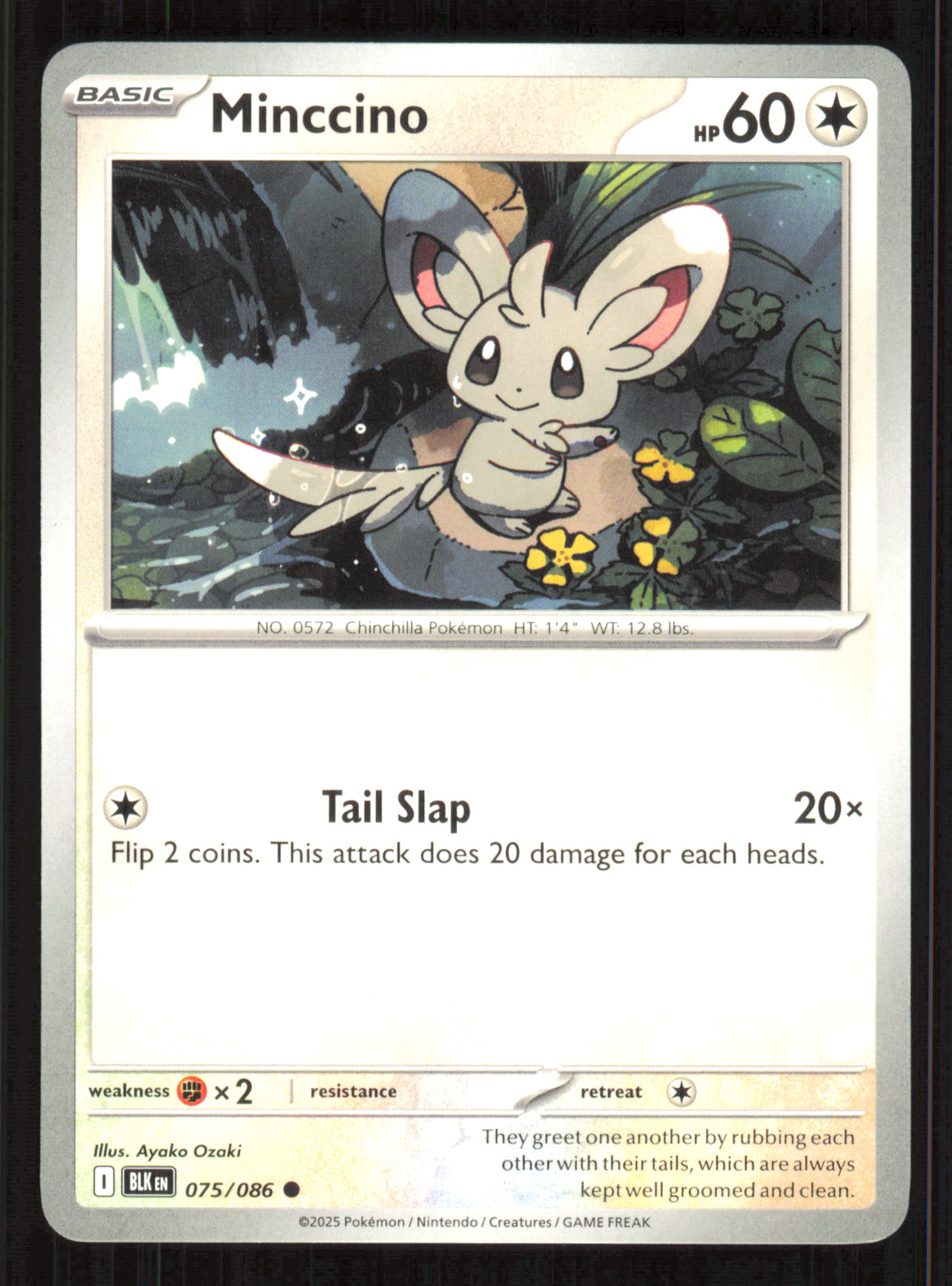 Minccino Common SV: Black Bolt 075/086 Near Mint (NM) przód
