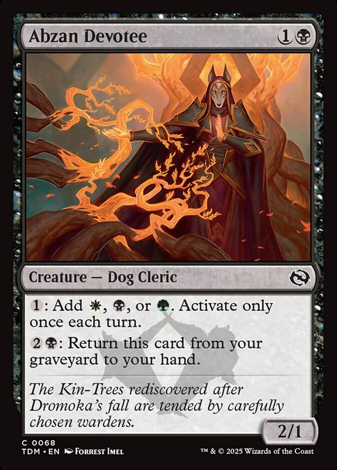 Abzan Devotee 68 Common Tarkir: Dragonstorm Magic: The Gathering Near Mint (NM) przód
