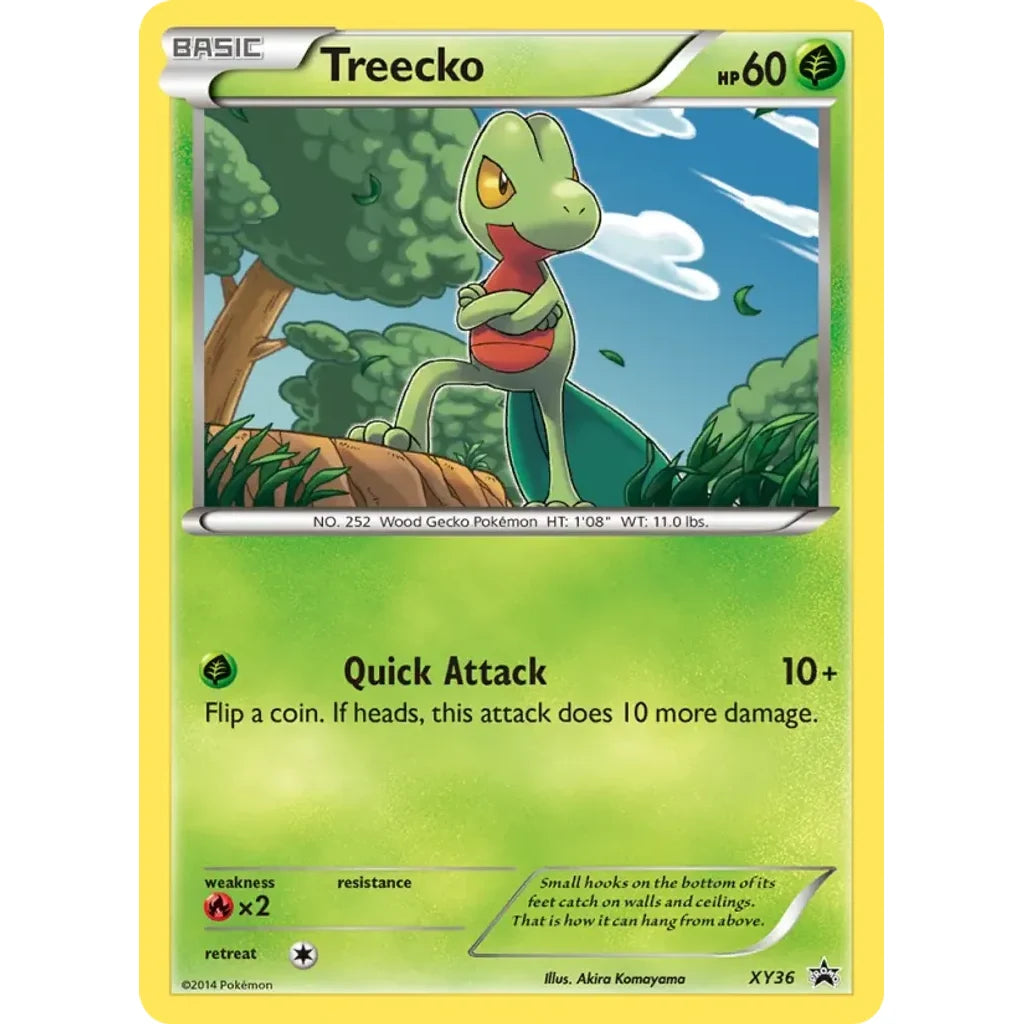 Treecko - XY36 XY36 Holo Promo XY Promo Pokemon Near Mint (NM) przód