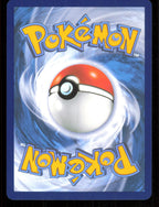 Floragato 017/159 Common Journey Together Pokemon Reverse Holo Near Mint (NM) tył