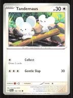 Tandemaus - Common SV02: Paldea Evolved 166/193 Near Mint (NM) przód