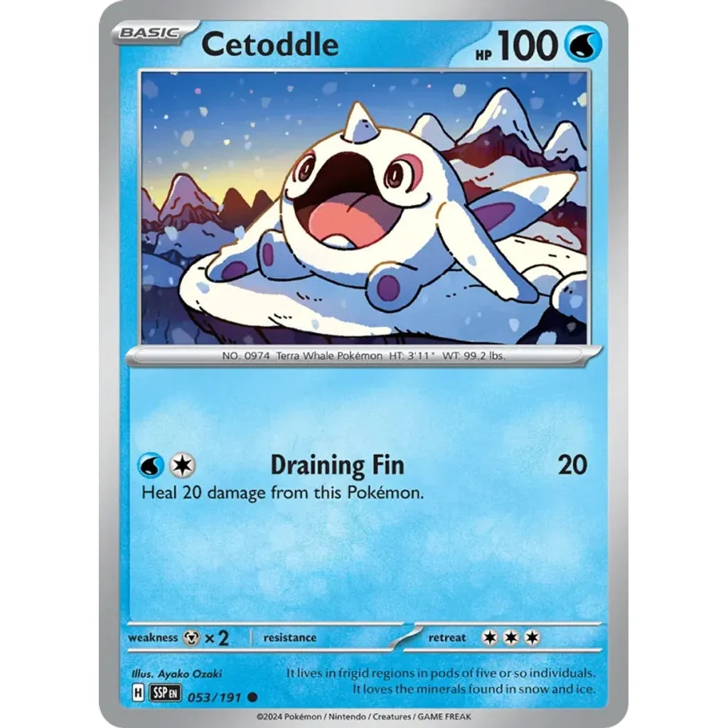 Cetoddle 053/191 Common Surging Sparks Pokemon Near Mint (NM) przód
