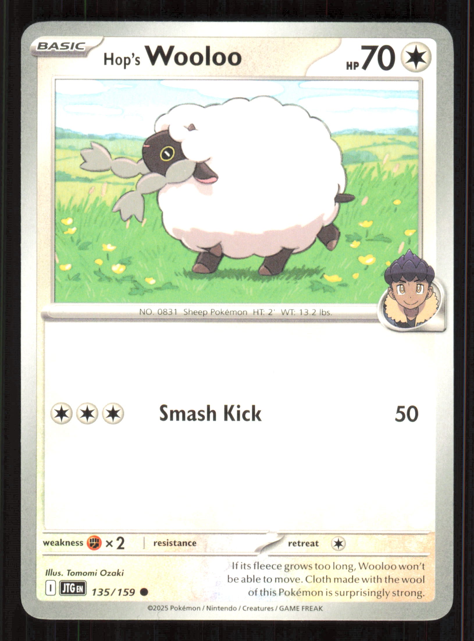 Hop's Wooloo Common SV09: Journey Together 135/159 Near Mint (NM) przód