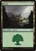 Forest (184) 184 Land Fate Reforged Magic: The Gathering Heavily Played (HP) przód