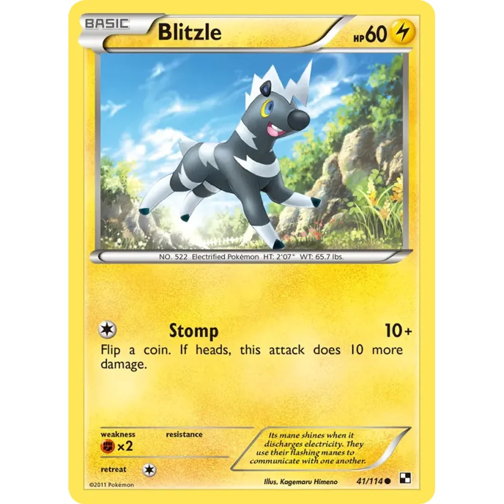 Blitzle 41/114 Common Black &amp; White Pokemon Lightly Played (LP) przód