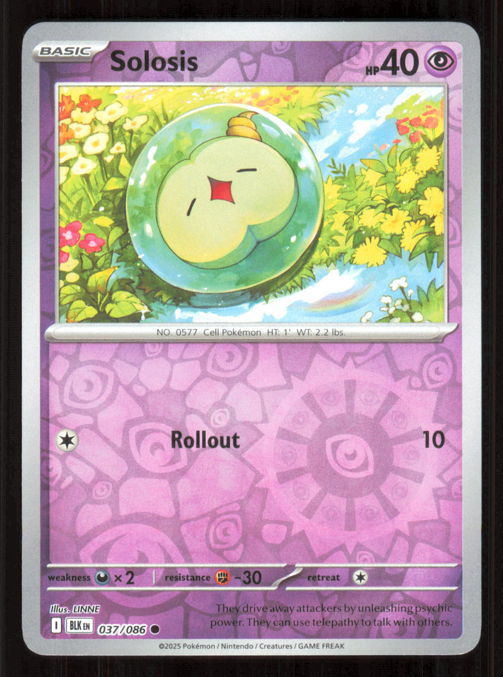 Solosis Common SV: Black Bolt 037/086 Near Mint (NM) przód