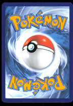 Shinx 040/159 Common Crown Zenith Pokemon Lightly Played (LP) tył