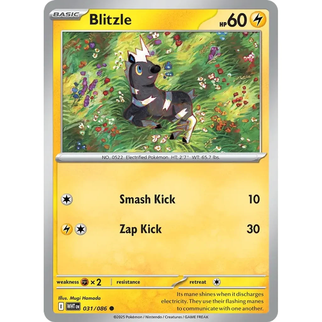Blitzle 031/086 Common SV: White Flare Pokemon Near Mint (NM) przód