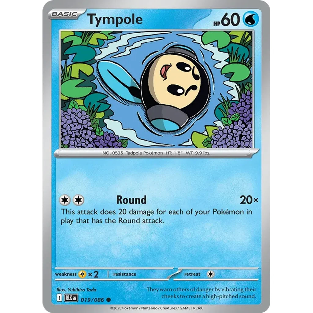 Tympole 019/086 Common SV: Black Bolt Pokemon Near Mint (NM) przód