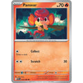 Pansear 014/086 Common SV: White Flare Pokemon Near Mint (NM) przód