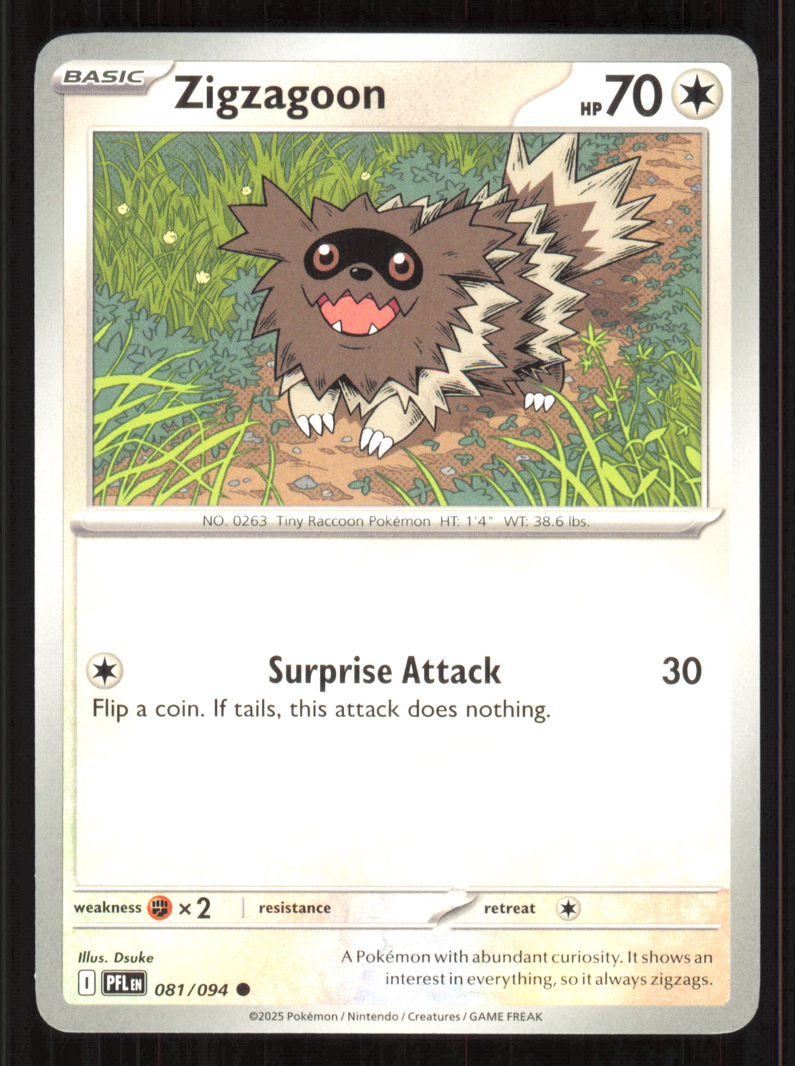 Zigzagoon Common ME02: Phantasmal Flames 081/094 Near Mint (NM) przód
