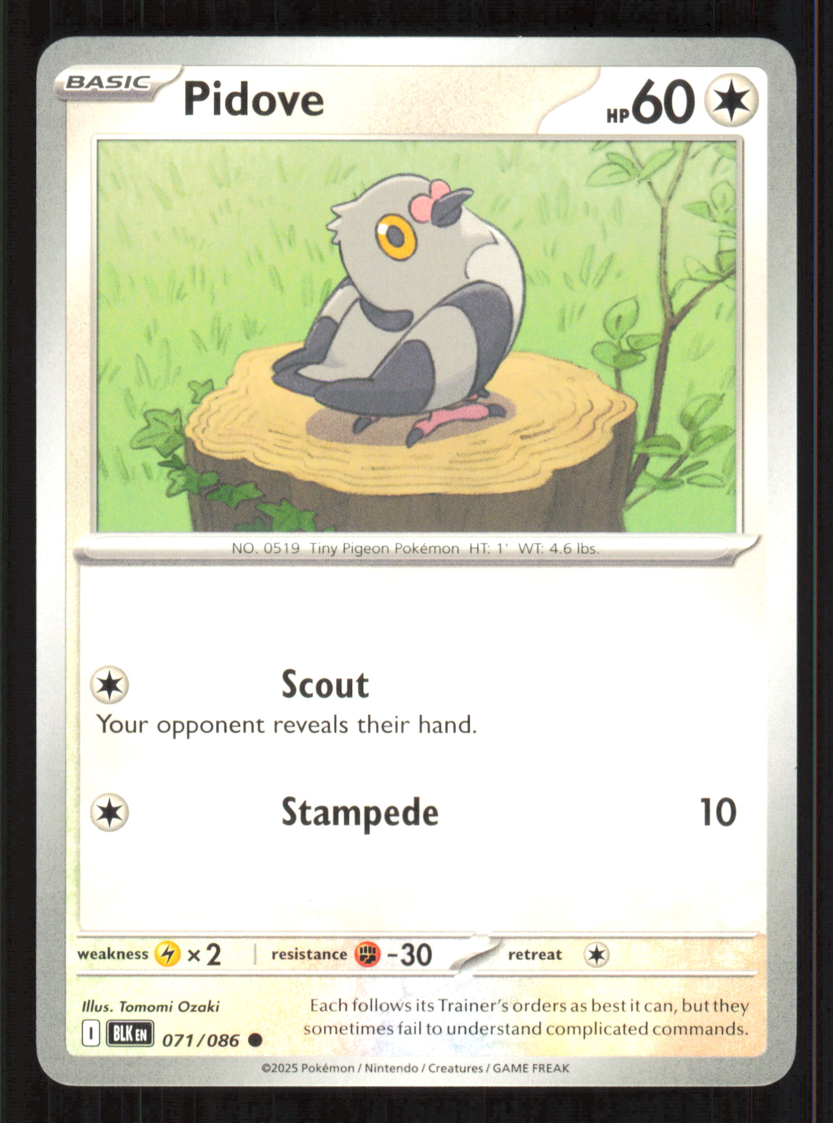 pidove pokemon card Pidove Common SV: Black Bolt 071/086 – archivebyx