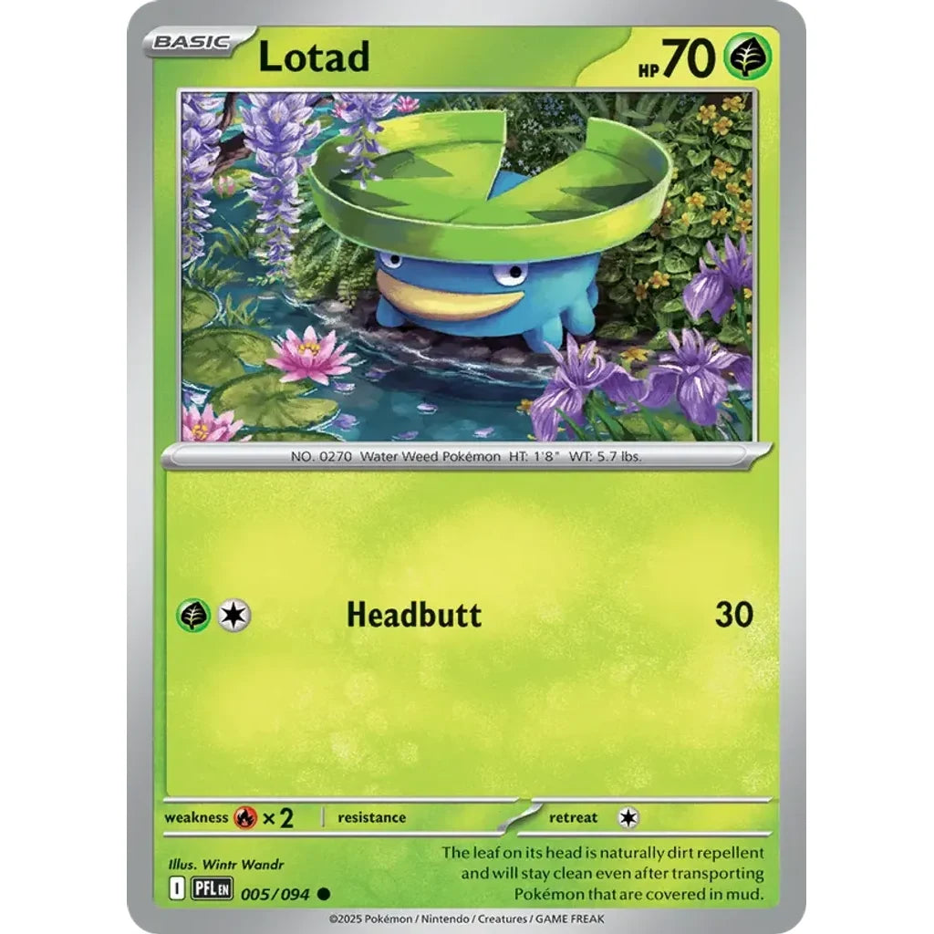 Lotad 005/094 Common Phantasmal Flames Pokemon Near Mint (NM) przód