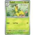 Bayleef 009/217 Uncommon ME: Ascended Heroes Pokemon Lightly Played (LP) przód