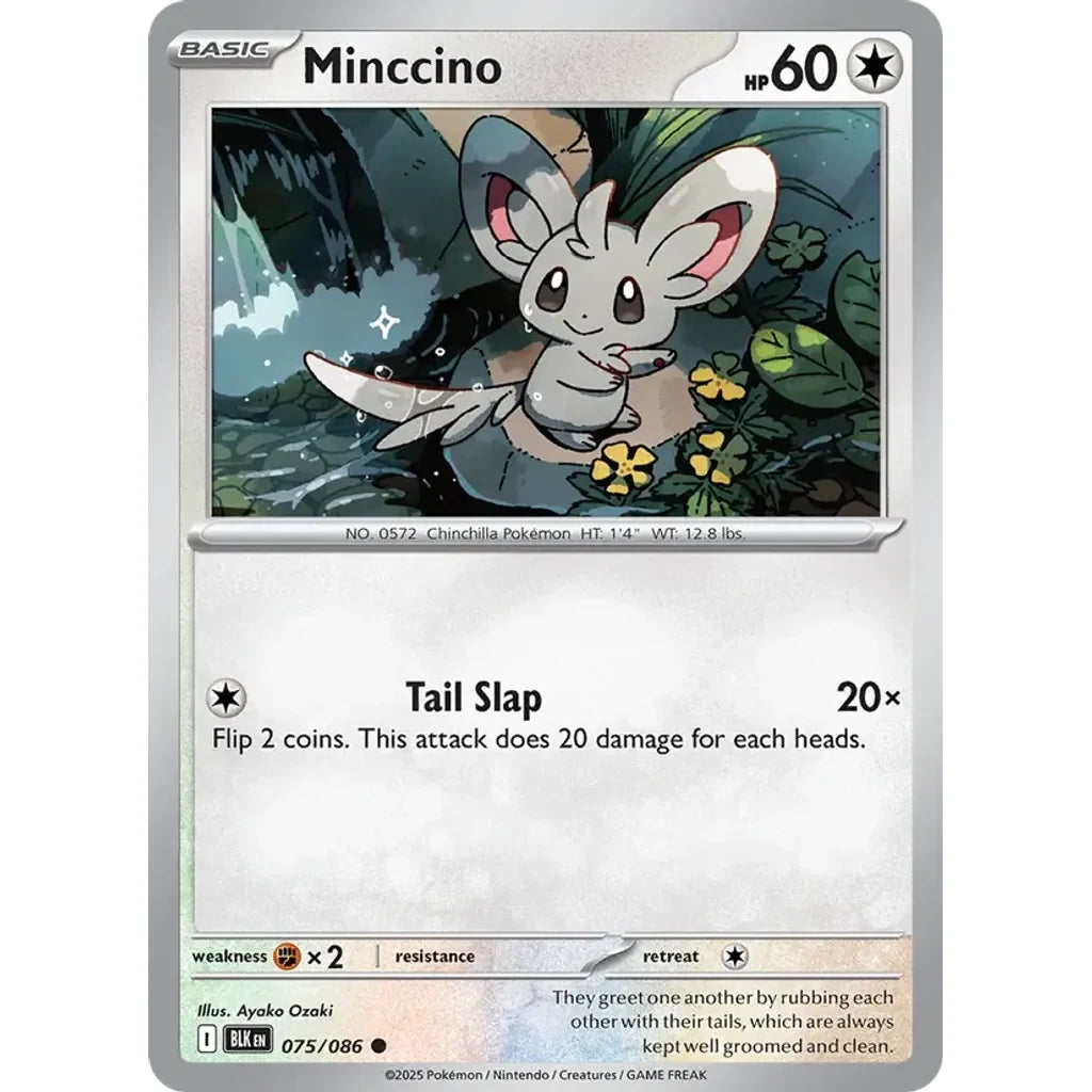 Minccino 075/086 Common SV: Black Bolt Pokemon Near Mint (NM) przód
