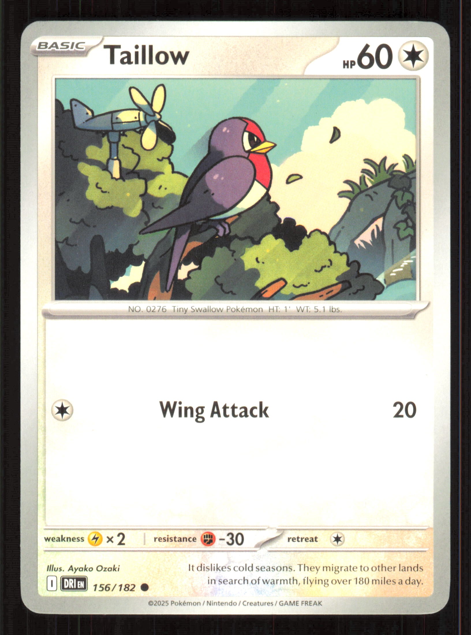 Taillow Common SV10: Destined Rivals 156/182 Near Mint (NM) — przód