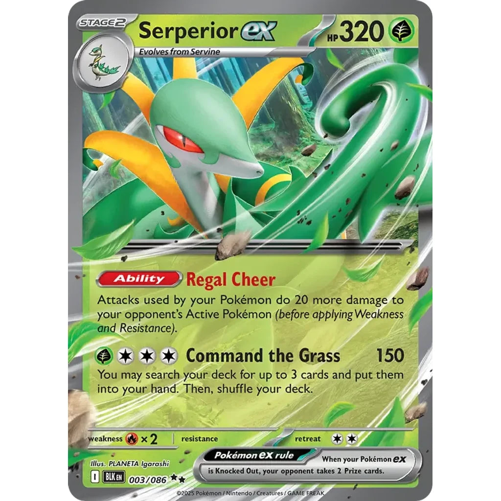 Serperior ex 003/086 Holo Double Rare SV: Black Bolt Pokemon Holo Near Mint (NM) przód