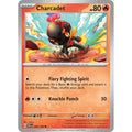 Charcadet 026/182 Common Paradox Rift Pokemon Near Mint (NM) przód