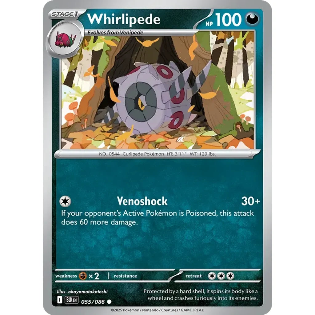 Whirlipede 055/086 Common SV: Black Bolt Pokemon Near Mint (NM) przód
