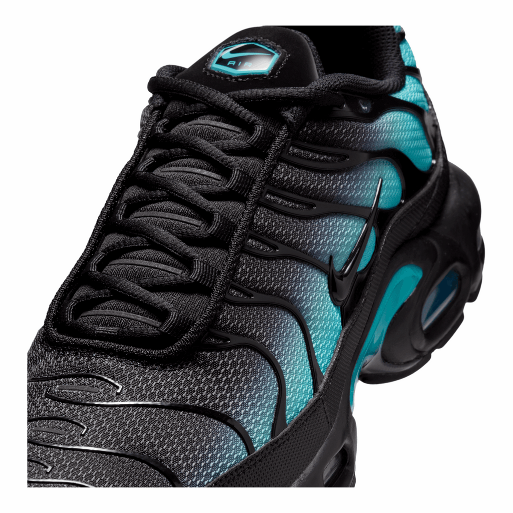 Nike Air Max Plus Black Dusty Cactus