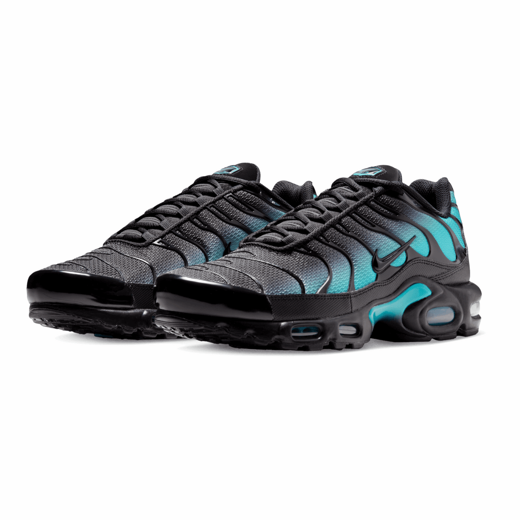 Nike Air Max Plus Black Dusty Cactus
