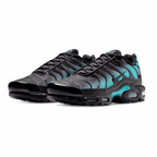 Nike Air Max Plus Black Dusty Cactus