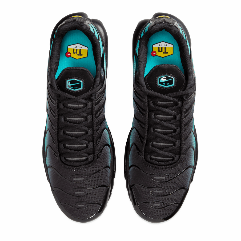 Nike Air Max Plus Black Dusty Cactus
