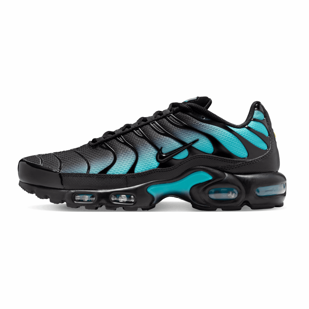 Nike Air Max Plus Black Dusty Cactus