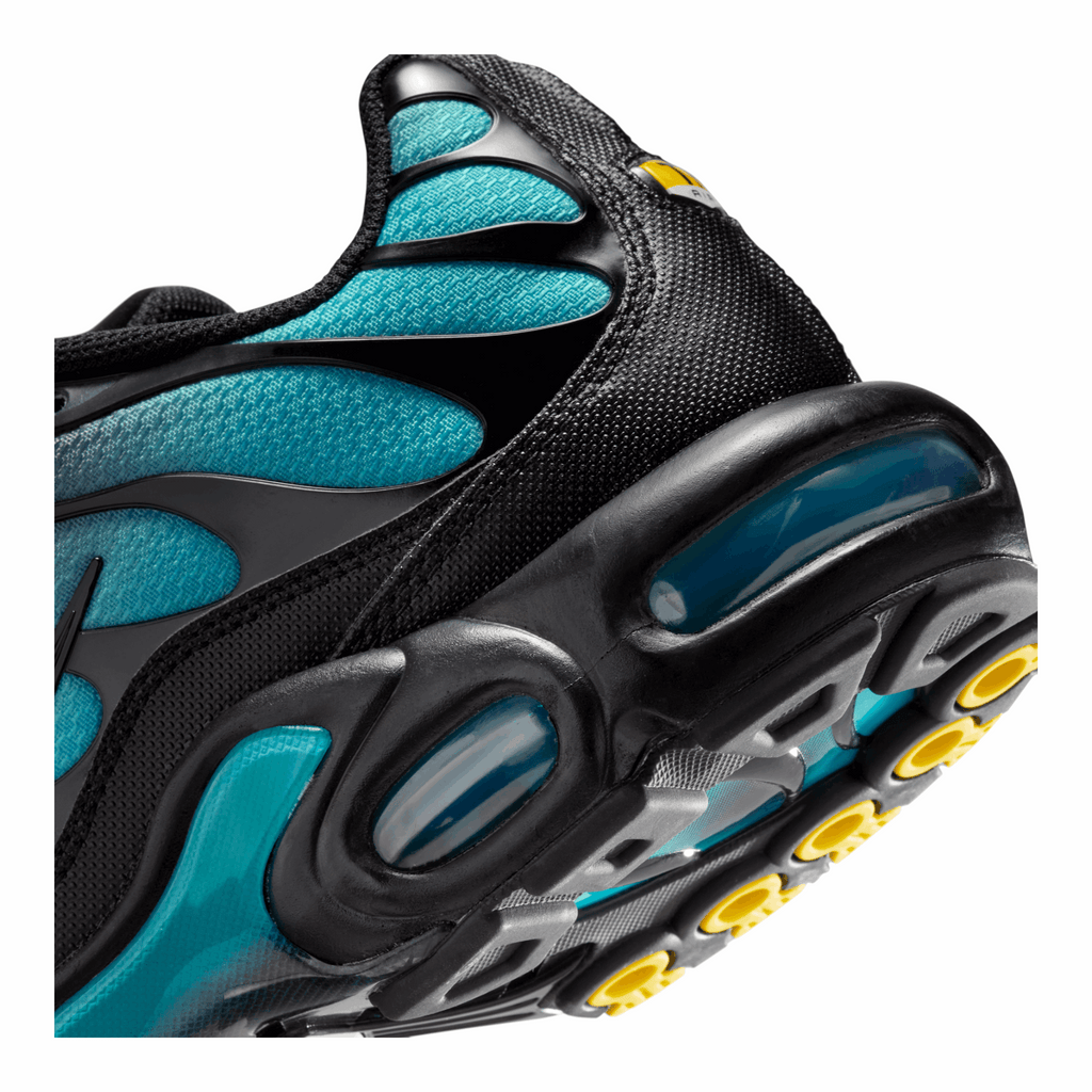 Nike Air Max Plus Black Dusty Cactus