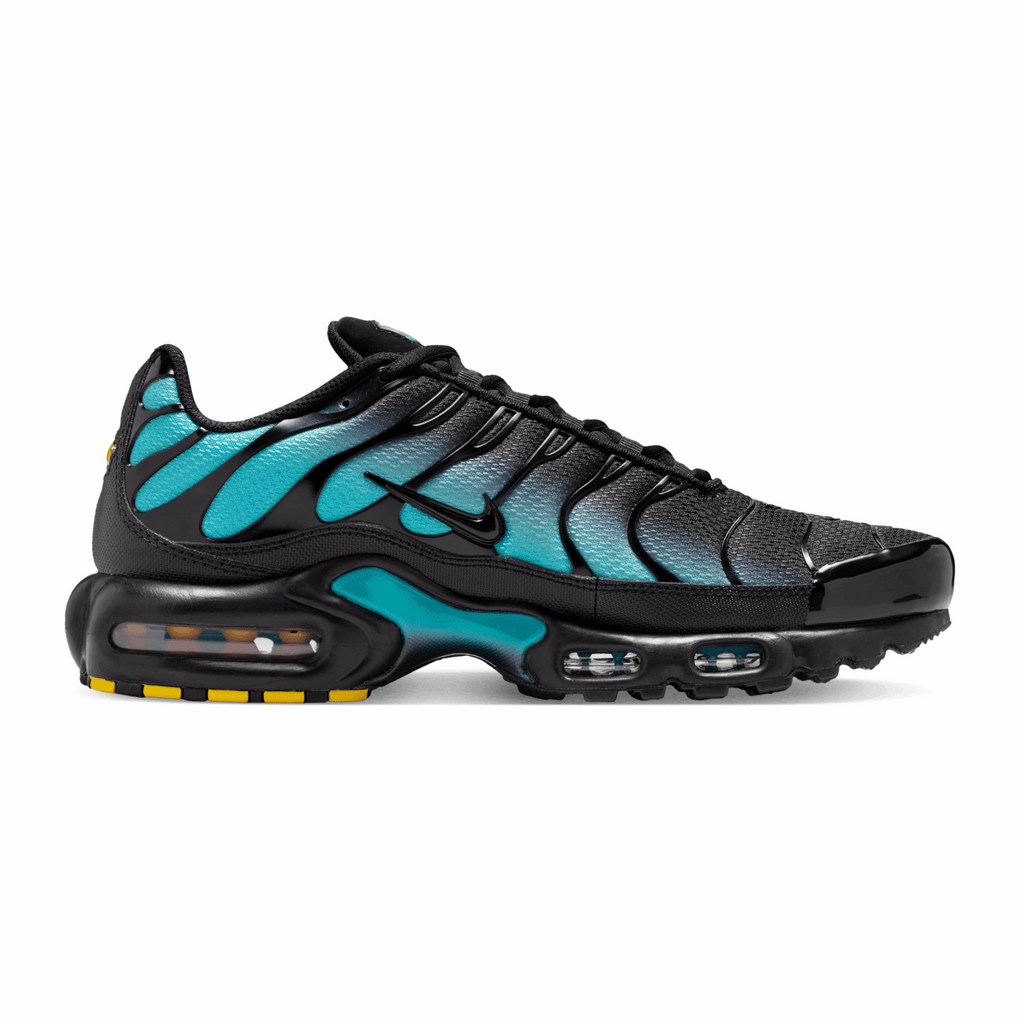 Nike Air Max Plus Black Dusty Cactus