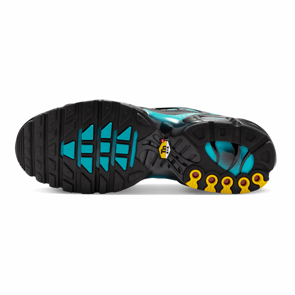 Nike Air Max Plus Black Dusty Cactus