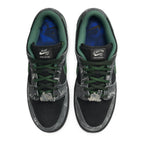 Nike SB Dunk Low There Skateboards