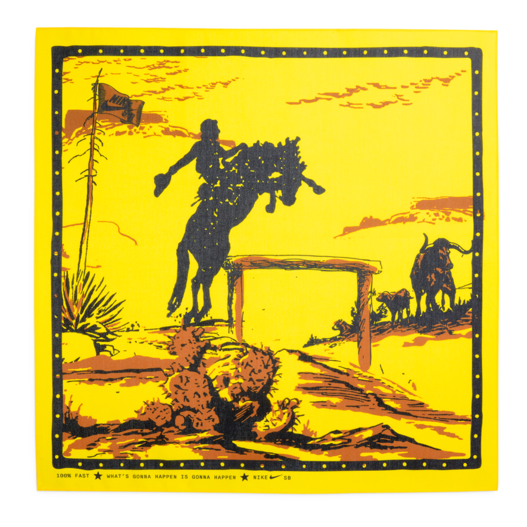 Nike SB Dunk Low Rodeo Turmalin